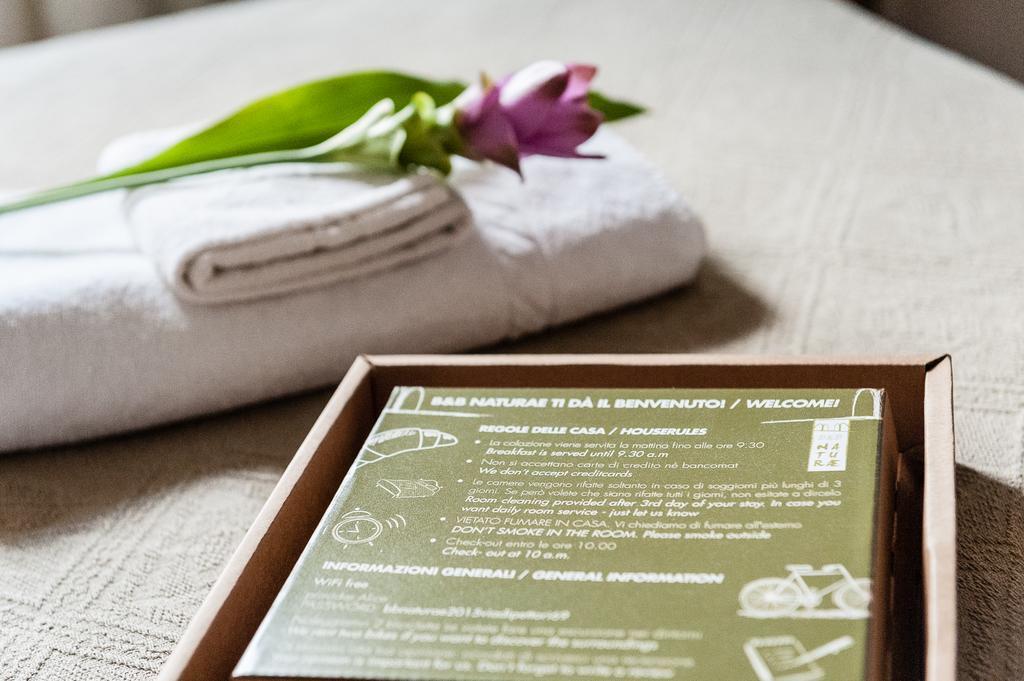 B&B Naturaeカーシナ エクステリア 写真
